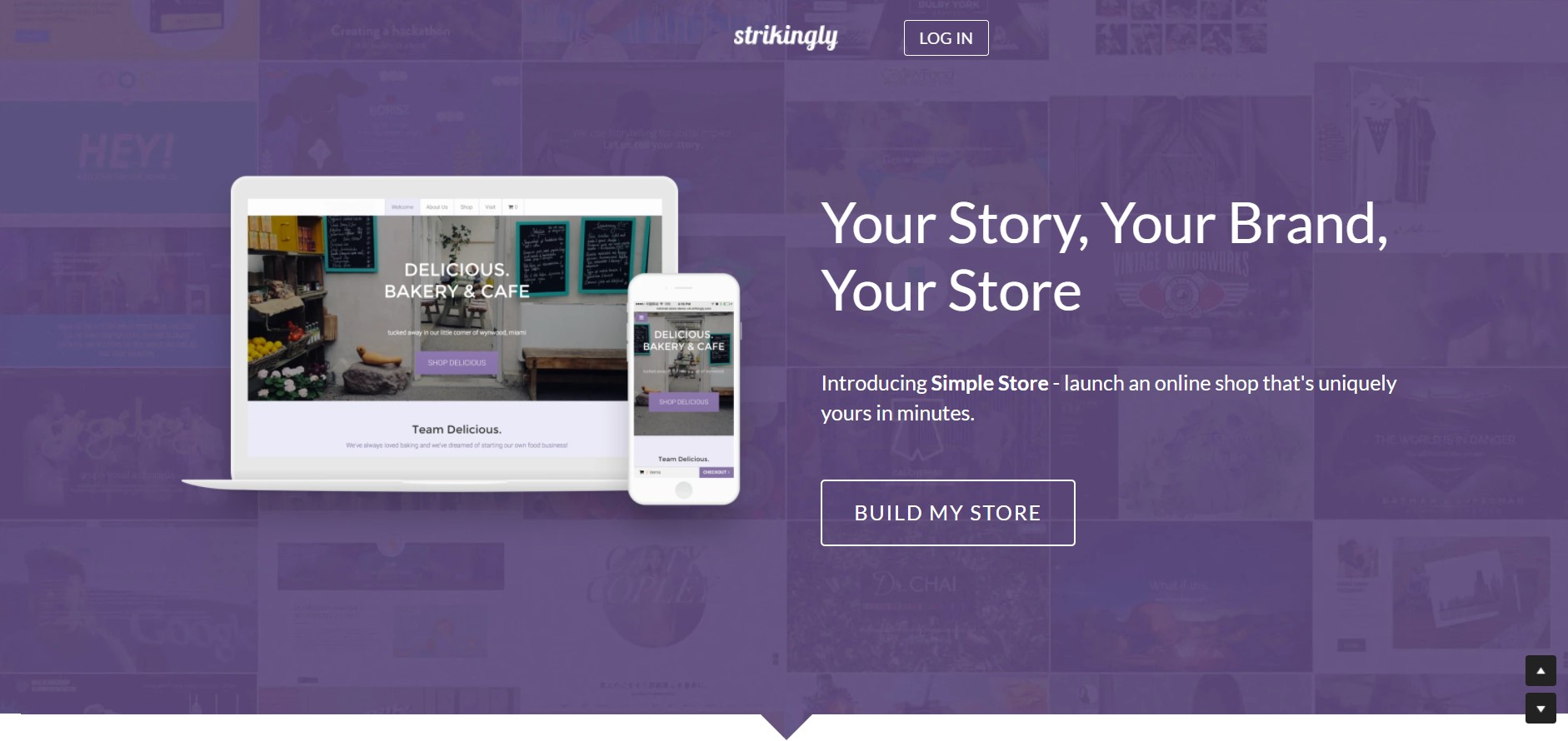 Image taken from Strikingly Product Image taken from Strikingly Product